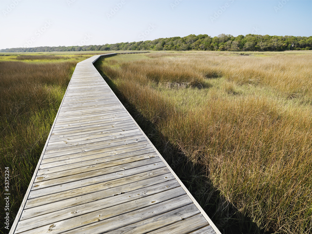 Boardwalk at marsh.
