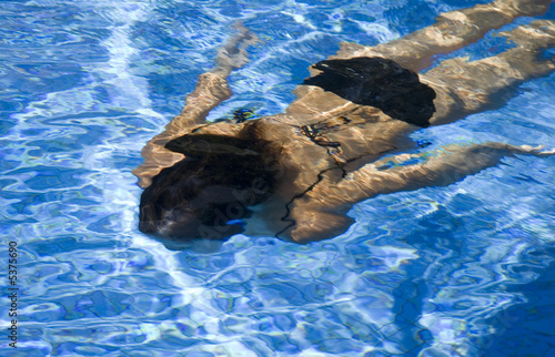 Young girl diving in swimming-pool 2 