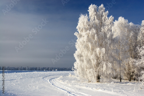 Winter landscape
