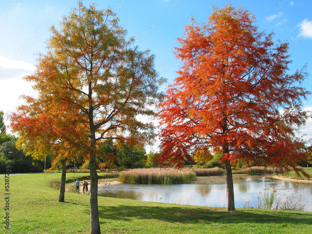Goldener Herbst