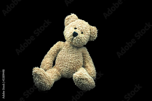 Teddy
