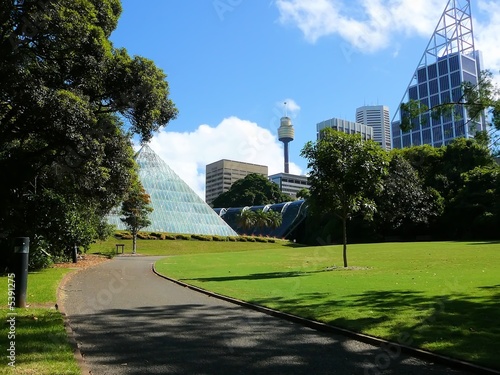 Photography Sydney Botanischer Garten