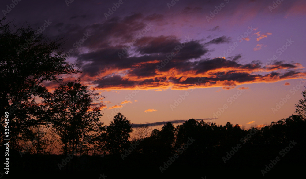Sihouetted trees and an evening sky ablaze. Sihouetted trees and an evening sky ablaze.