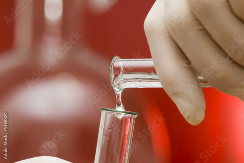 Research of an infection in laboratory