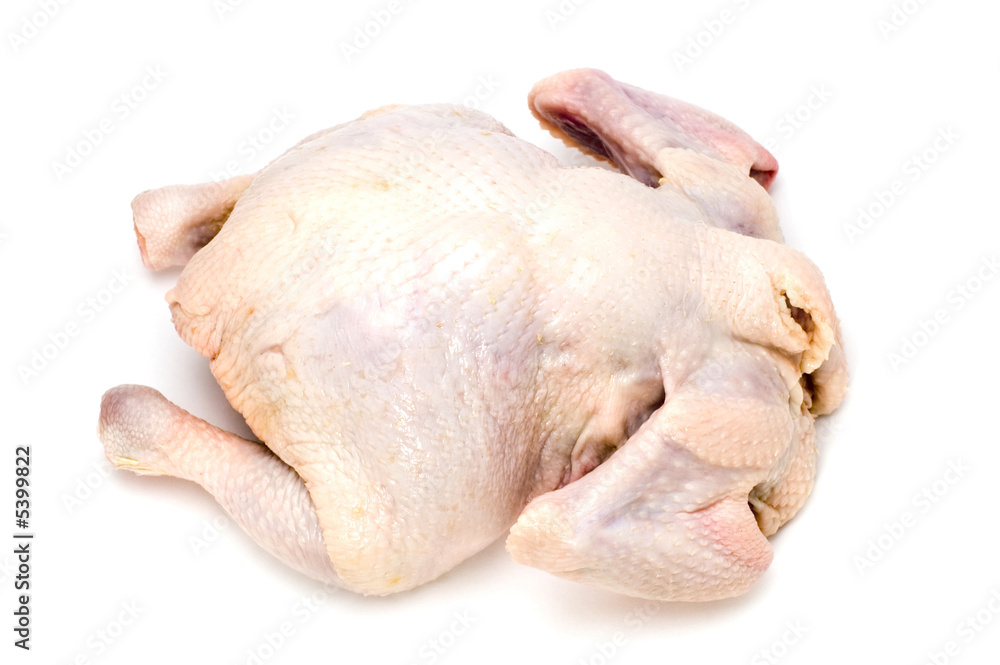 object on white - food - chicken object on white - food - chicken