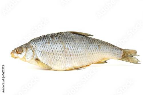 Dried fish isolated on white background