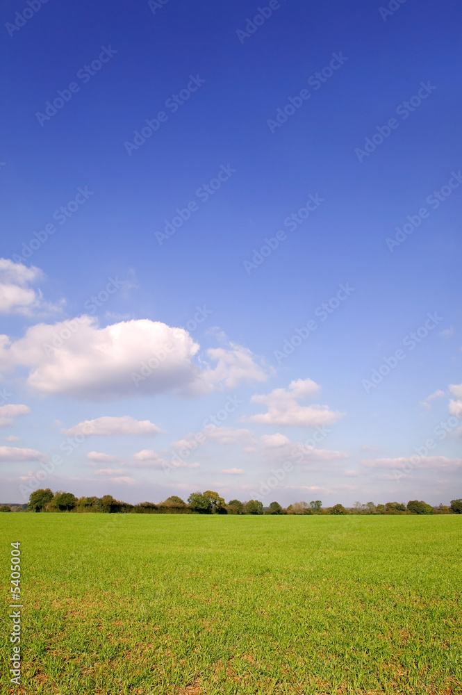 Bright blue sky landscape with a tree line beyond a green field.