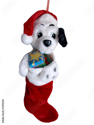Dalmation puppy in a stocking Christmas orniment.