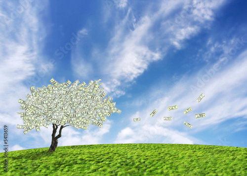 Concept of a cash tree of American dollar banknotes