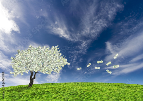 Concept of a cash tree of American dollar banknotes