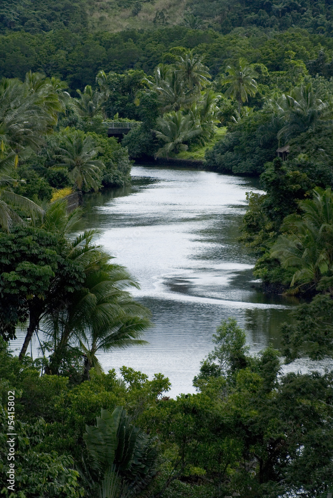Fototapeta premium Jungle river