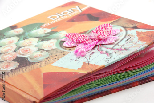 pink girl diary