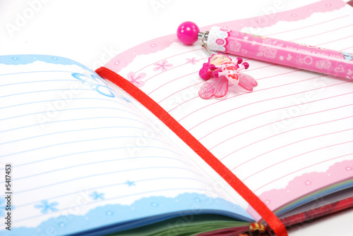 pink girl diary