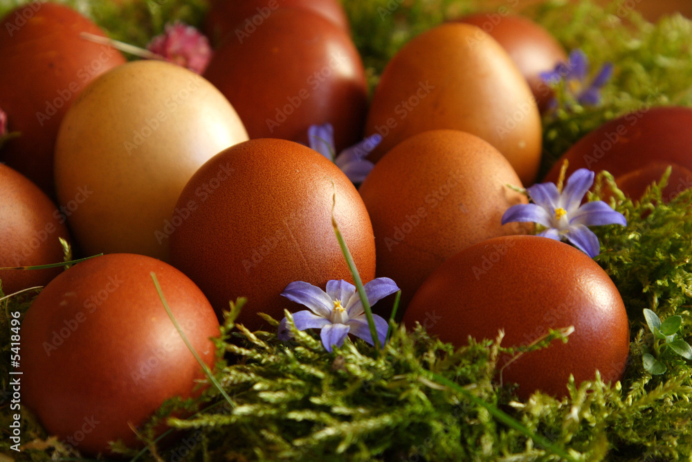 Easter eggs Easter eggs