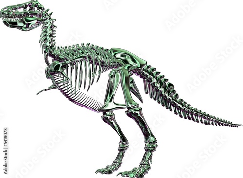 Tyrannosaurus rex Skelett in grün-silber metallic © ivanagott