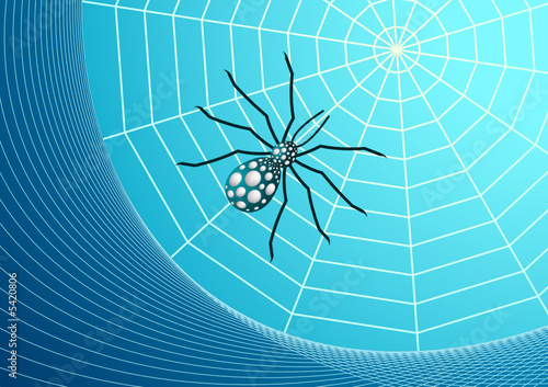 Web and spider vector illustration