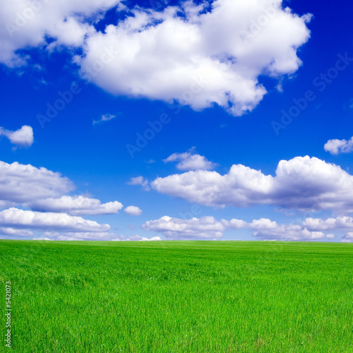 The field and blue sky. #5421073