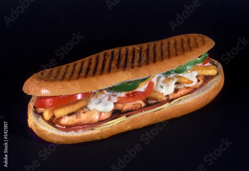 Big toasted special sandwich