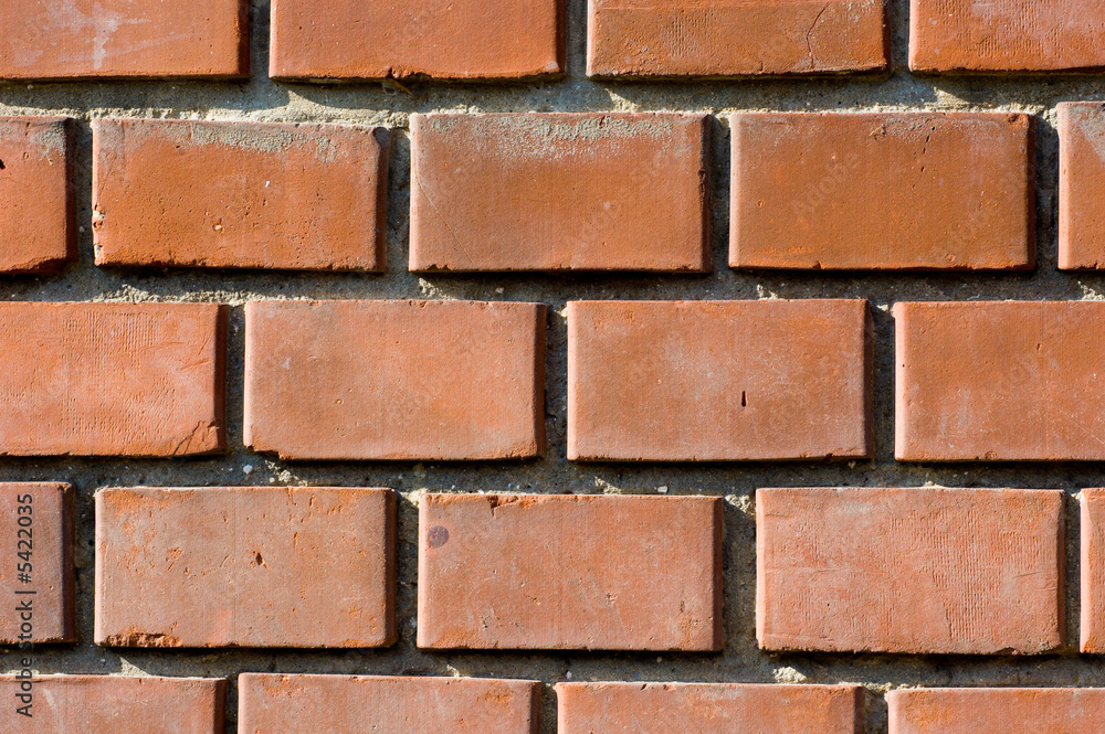 Obraz premium Brick wall