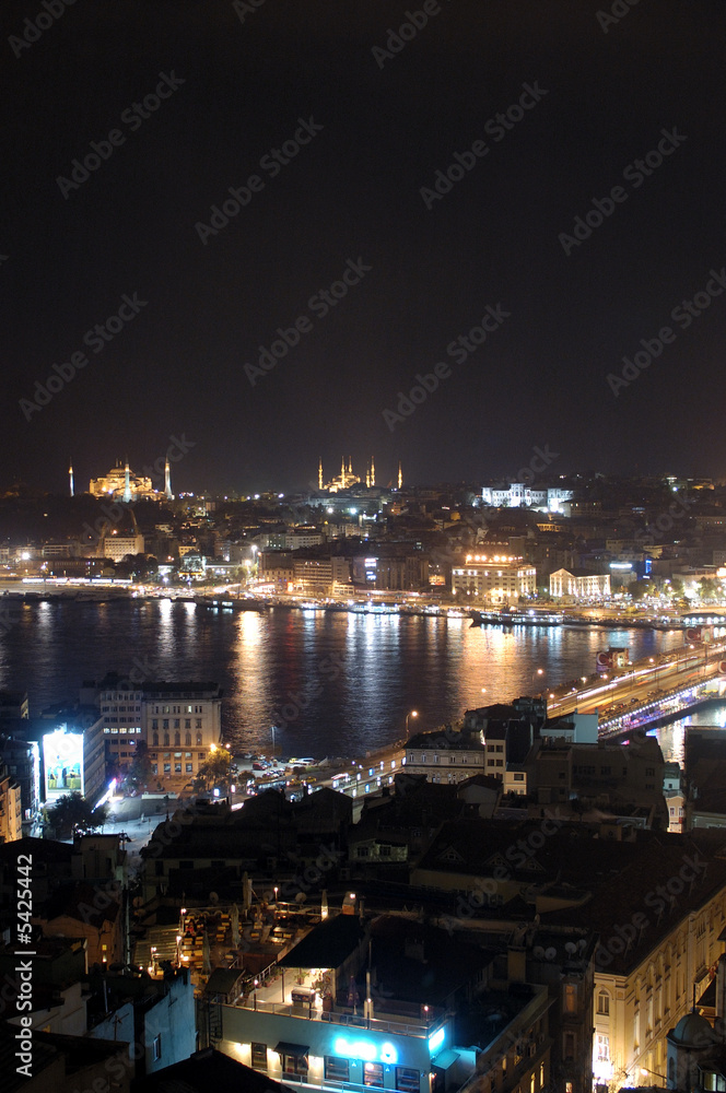 The hagia sophia, blue mosque and golden horn creek at night