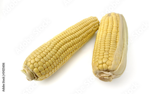 Mazorcas maiz photo