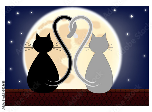 Amour