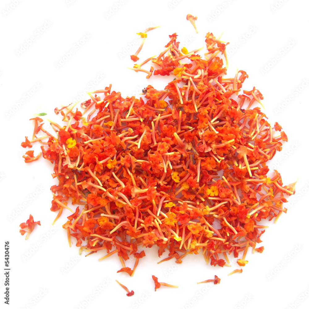 Fototapeta premium tapis de lantana