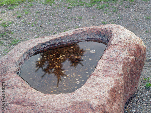 Decorative pool in a stone, close-up