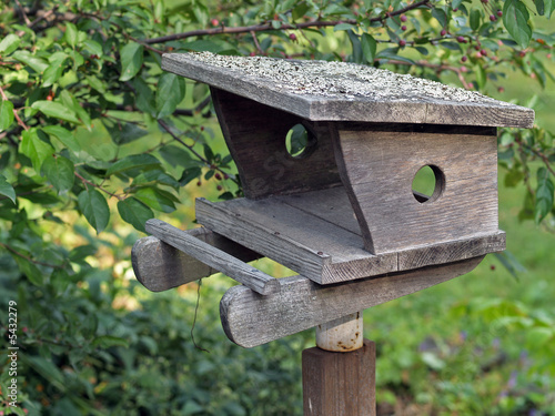 Wooden nesting-box in a garden closeup