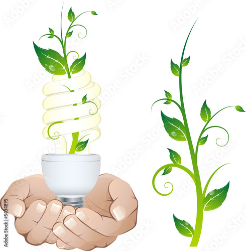 Ampoule et plante tenues entre les mains.
