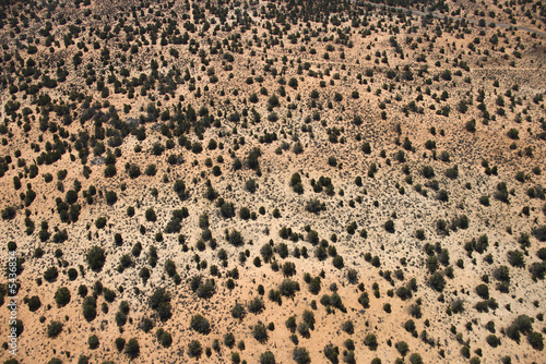 Desert landscape.