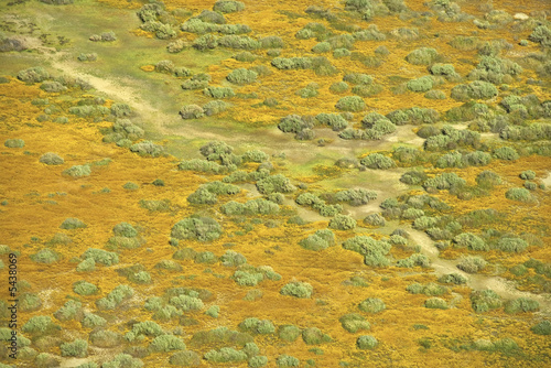 Aerial prairie landscape.