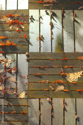 leaves of oak and nipples on wooden Duck-boards