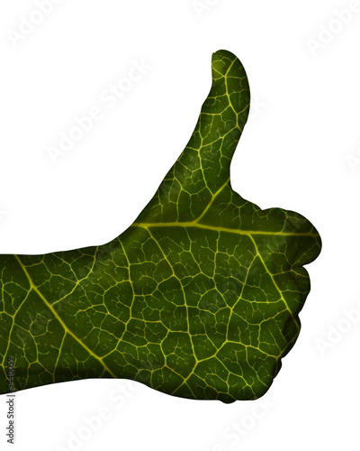 MAIN VERTE POUCE LEVE