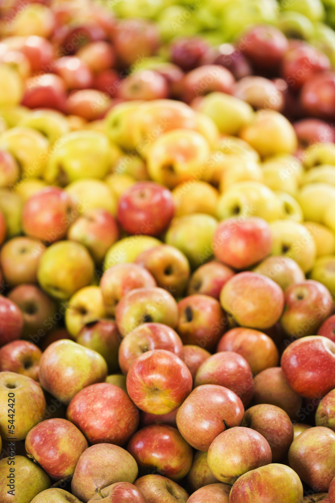 Red and yellow apples piled on table at produce market. Red and yellow apples piled on table at produce market.