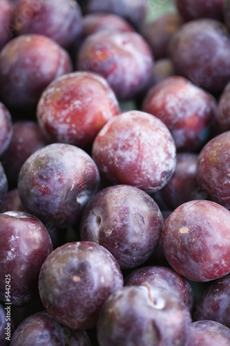 Pile of purple plums at produce market.