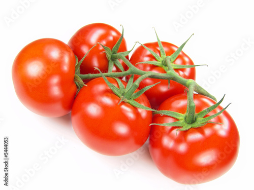 Isolated fresh tomatoes with stems close-up (vivid colors)