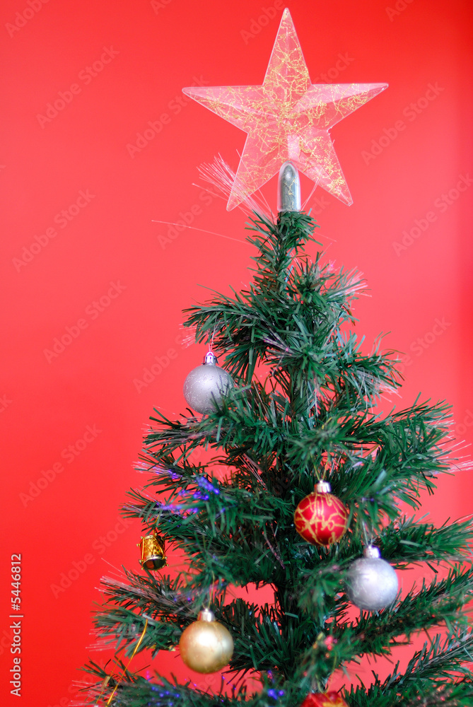 Holidays - Photo of a Tree Symbol of Christmas .