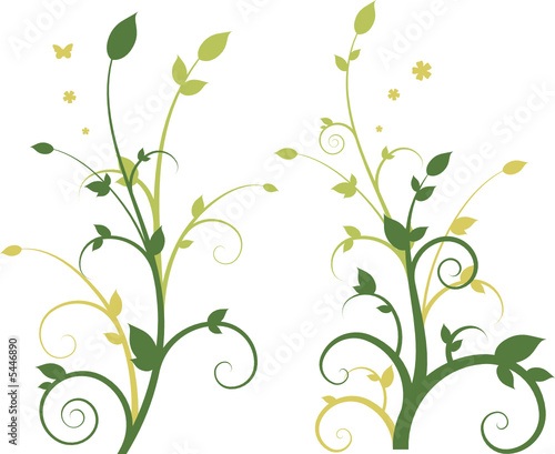 Floral design, image vectorielle