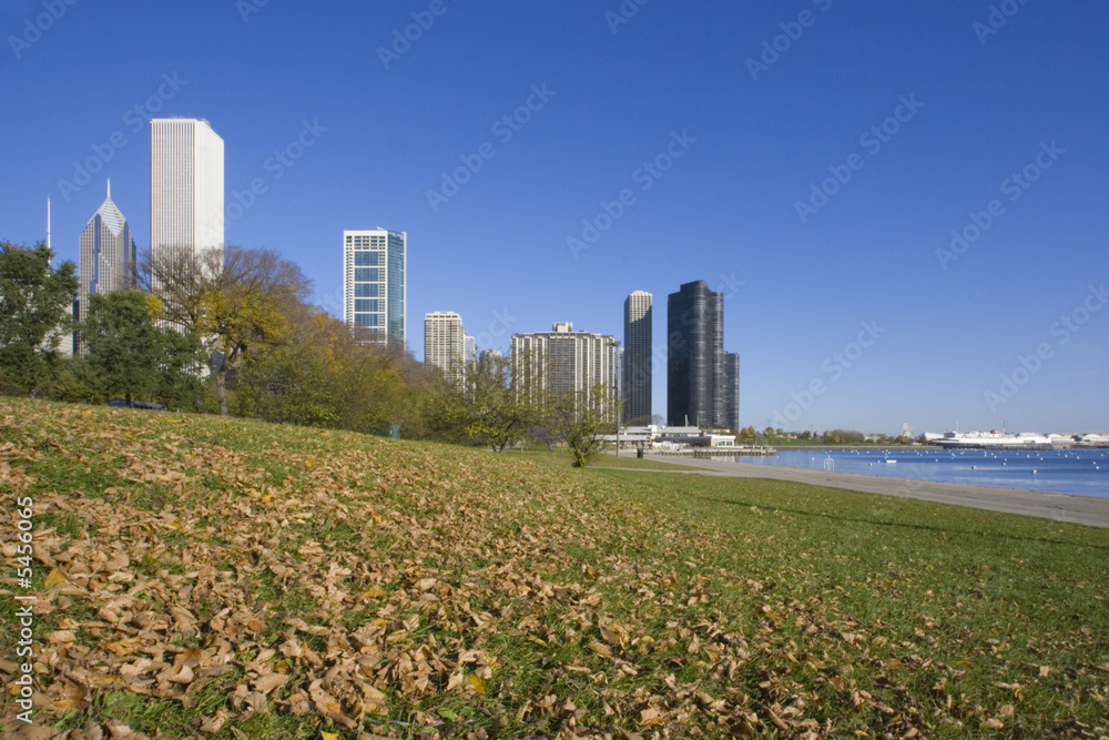 Fototapeta premium Autumn in Chicago