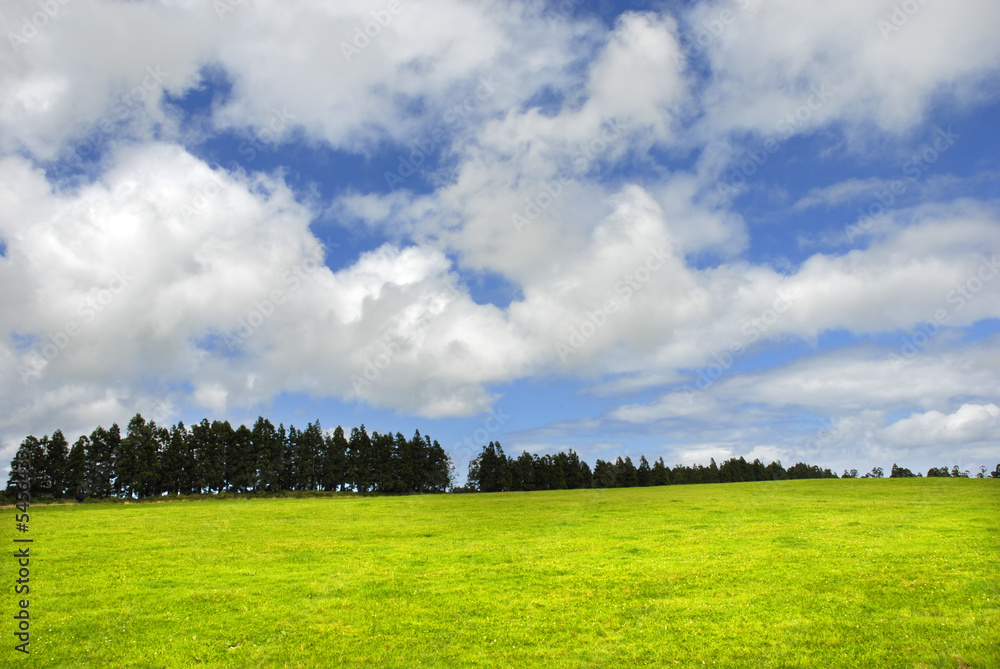 Fototapeta premium azores green fields at s miguel island