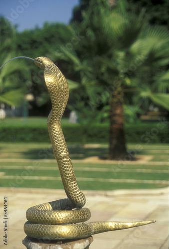 Golden Cobra