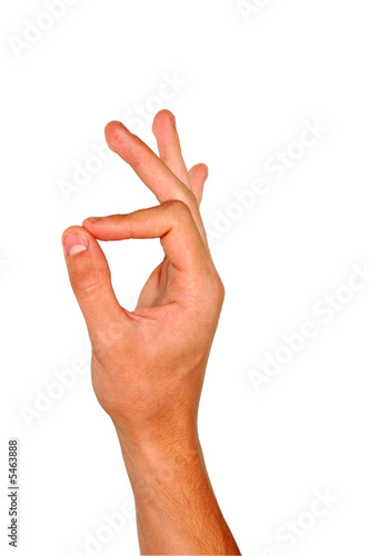 Hand isolated on a white background.