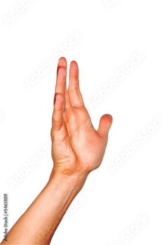 Hand isolated on a white background.