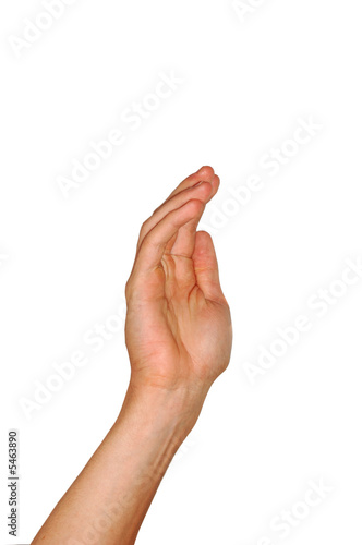 Hand isolated on a white background.