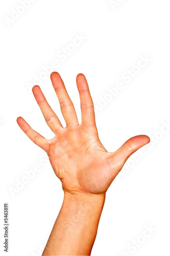 Hand isolated on a white background.