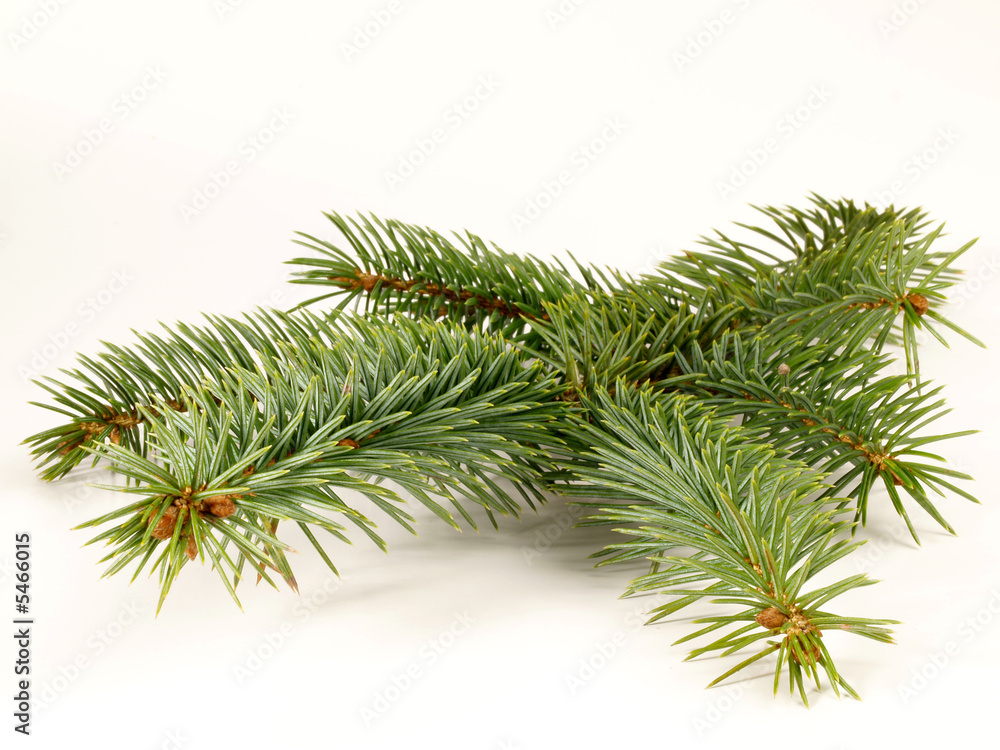 Weihnachten / Dekoration Weihnachten / Dekoration