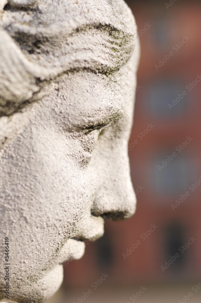 Profil einer Skulptur Profil einer Skulptur