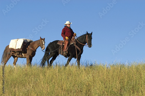 Cowboy leading a pack horse