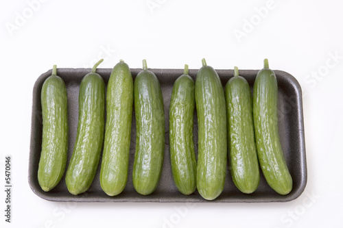 cucumbers on tray photo